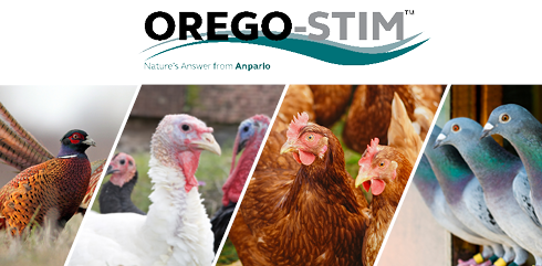 Hot Topic: Reduce the Impact of Coccidiosis and Protect Your Birds